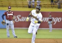 Liga dominicana béisbol retoma este martes lucha por el liderato