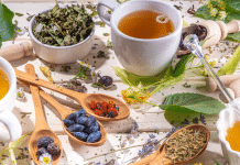 8 plantas medicinales para aliviar el dolor de cabeza y cómo usarlas