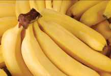 ¿Comer guineo o plátano por la noche engorda? Esto debes saber